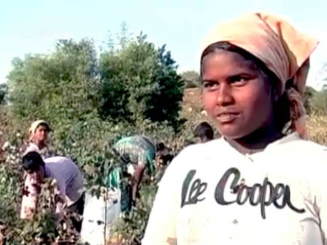 तेलंगाना में सूखे की मार, हालात ने बच्चों को बनाया मजदूर