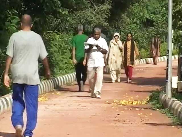Video : In Bengaluru, Polluted Air is Spoiling Morning Walks