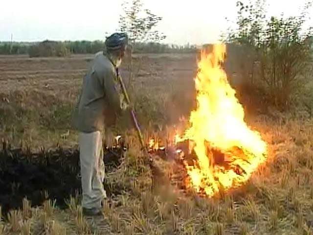 Video : धान की खुट्टी जलाने से फैलता जहर