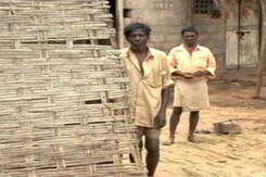 मनरेगा के मारे मनरेगा के मारे