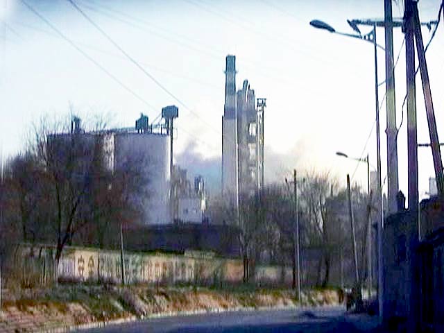 Truth vs Hype: New Green Panel Suggests Making 90% of Forests 'Go' Areas