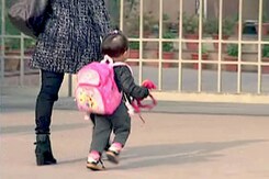 नर्सरी एडमिशन: हाईकोर्ट से निजी स्कूलों को बड़ी राहत नर्सरी एडमिशन: हाईकोर्ट से निजी स्कूलों को बड़ी राहत