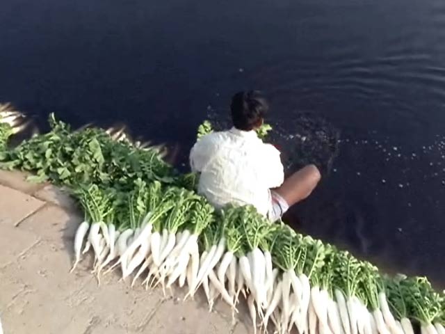 दिल्ली : हरी सब्जियों का काला सच