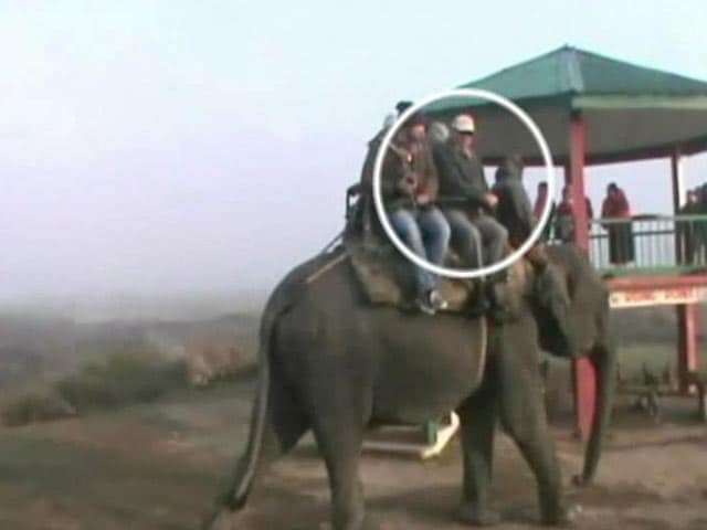 Video : As Assam Burned With Violence, Top Bureaucrat Enjoyed Elephant Rides