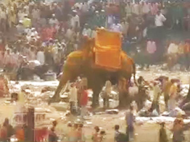 महाराष्ट्र में बेकाबू हाथी ने एक को कुचला