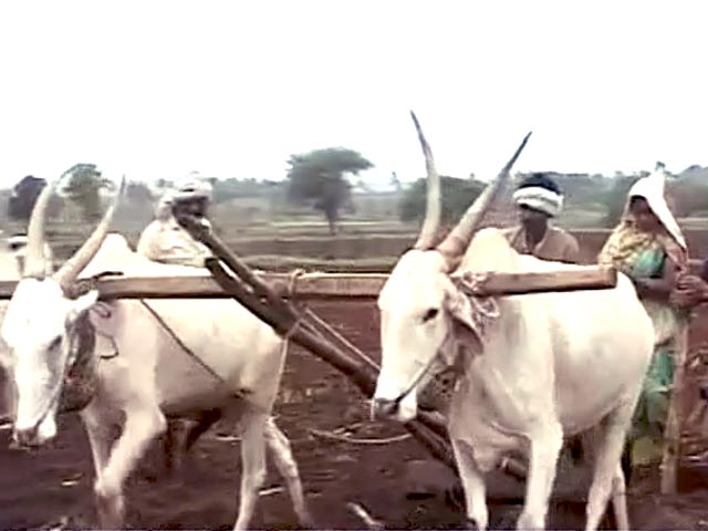 प्राइम टाइम इंट्रो : ज़मीन किसान की, मालिक सरकार?