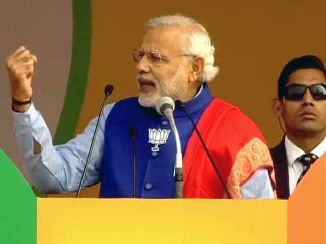 Video : We Need Development Here, Not Anarchy: PM Narendra Modi Targets AAP at Delhi Rally