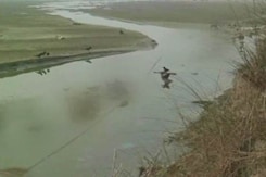 Over 100 Dead Bodies Found Afloat in Ganga in Uttar Pradesh, Probe Ordered Over 100 Dead Bodies Found Afloat in Ganga in Uttar Pradesh, Probe Ordered