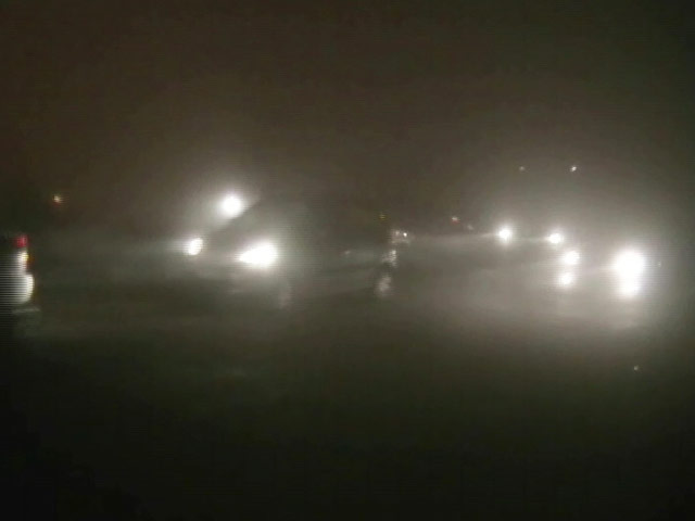 47 Flights Delayed, 21 Cancelled as Dense Fog Engulfs Delhi