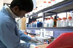 Indian Discovery Gives Boost to Hopes for Malaria Vaccine Indian Discovery Gives Boost to Hopes for Malaria Vaccine