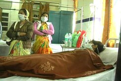 With Only Two Centres to Detect Disease, Madhya Pradesh Grapples With Rising Cases of Swine Flu With Only Two Centres to Detect Disease, Madhya Pradesh Grapples With Rising Cases of Swine Flu