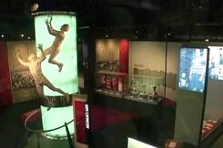 Melbourne Cricket Club, A Treasure Trove for Sports Fans Melbourne Cricket Club, A Treasure Trove for Sports Fans