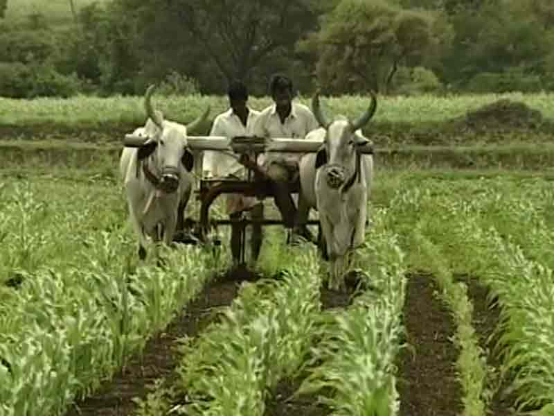 Budget 2016: Stress On Farmers, Poor As Government Preps For Poll Season