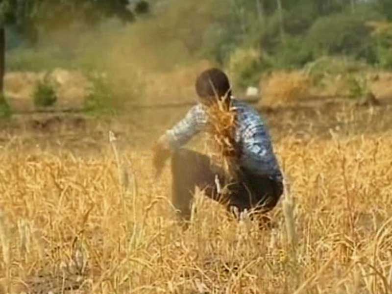 67 Per Cent Farmers in Maharashtra's Yavatmal District Suffer from Depression: Survey