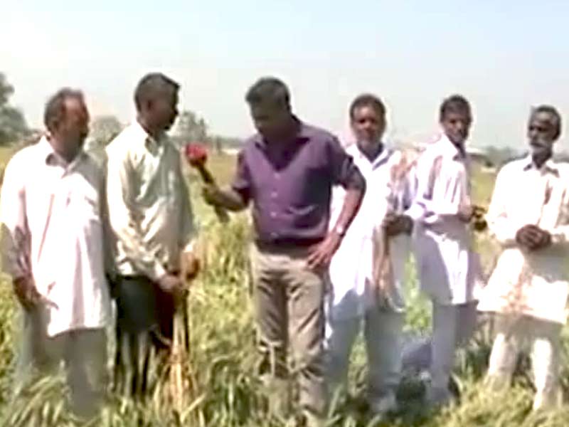 फसल बरबाद होने से किसान परेशान, सरकार से मदद की मांग