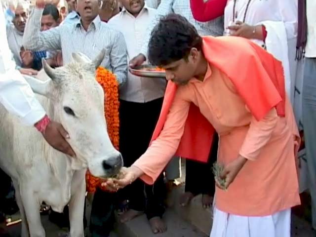 गऊ-कथा सुनाते और एकता का संदेश देते हैं फैज़ ख़ान