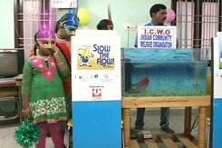'चाणक्य' मछली की भविष्यवाणी, टीम इंडिया की होगी जीत 'चाणक्य' मछली की भविष्यवाणी, टीम इंडिया की होगी जीत