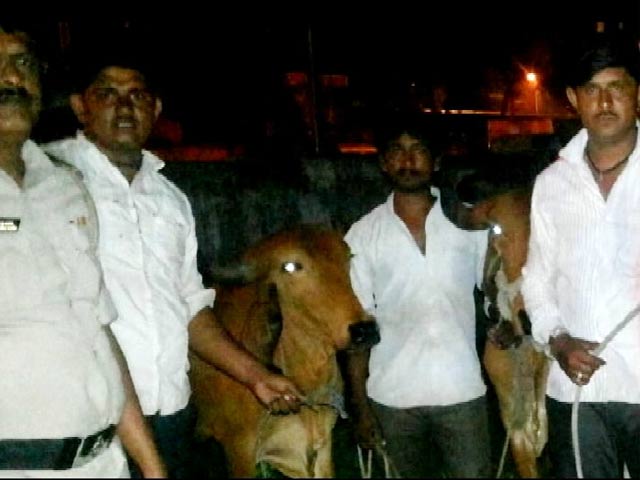 'गाय-बैल की फोटो के साथ सभी लोग पुलिस स्टेशन में हाजिर हों'