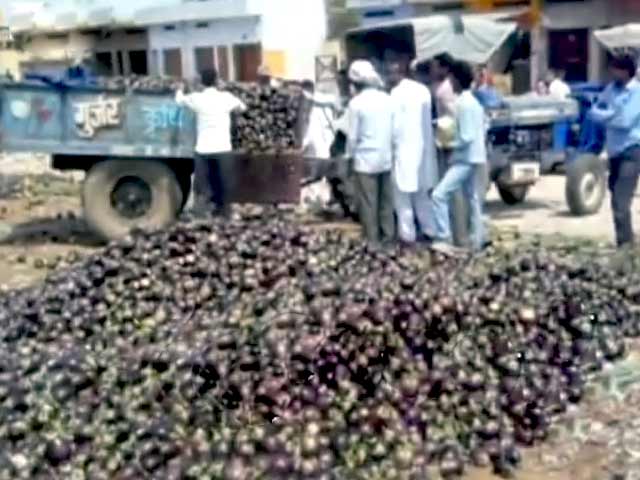 बिके नहीं तो सड़कों पर फेंके गए बैंगन