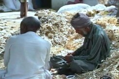 With Losses in Farming, Madhya Pradesh's Gen Next Exploring Other Options With Losses in Farming, Madhya Pradesh's Gen Next Exploring Other Options