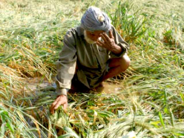 NDTV इंडिया की ग्राउंड रिपोर्ट : सरकार से मायूस किसान