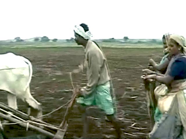 बेमौसम बारिश : यूपी में 35 किसानों ने की खुदकुशी