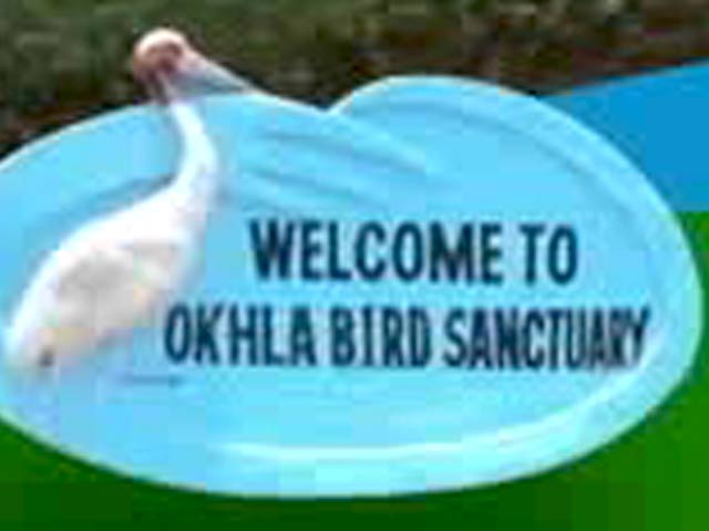 55,000 Buyers Left Homeless: Who is Responsible?