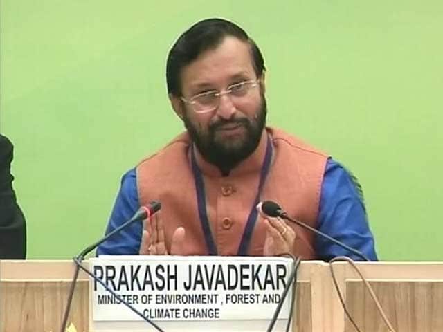 Video : 'Not In a Hurry to Change Green Laws,' Says Environment Minister Praskash Javadekar