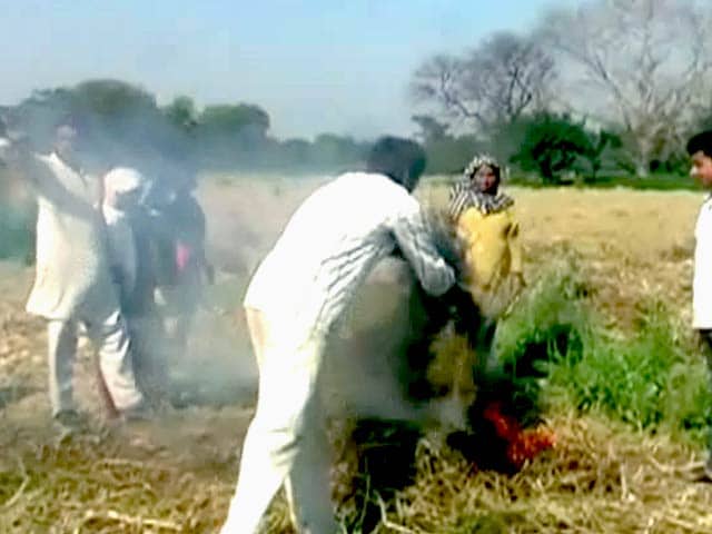 Video : मुआवजा या मजाक : किसानों को बांटे गए 150 से 200 रुपये तक के चेक