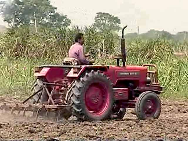 Video : गन्ना किसानों की बदहाली की दास्तां