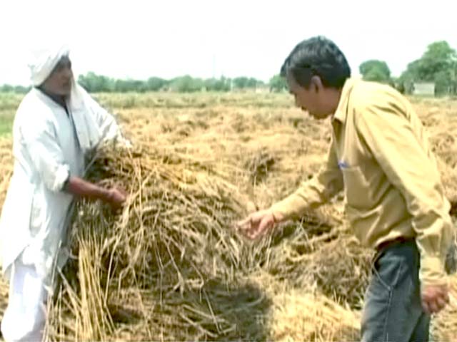 बटाईदारों को कौन देगा मुआवजा?