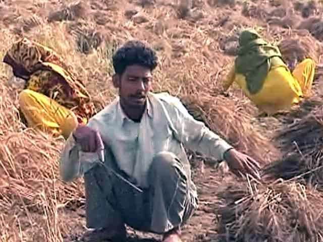 Videos : दिल्ली के किसानों को अब भी मुआवज़े का इंतजार