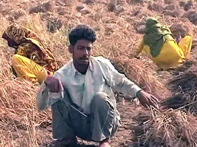 दिल्ली के किसानों को अब भी मुआवज़े का इंतजार