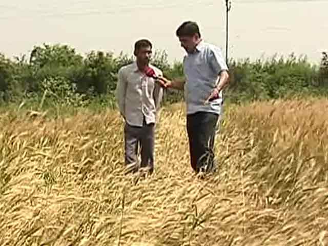 Videos : NDTV एक्सक्लूसिव : साहूकारों के जाल में फंसते किसान