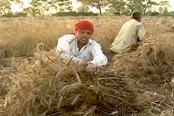 DDA: Guidelines for Pooling 80,000 Acres Land Soon DDA: Guidelines for Pooling 80,000 Acres Land Soon