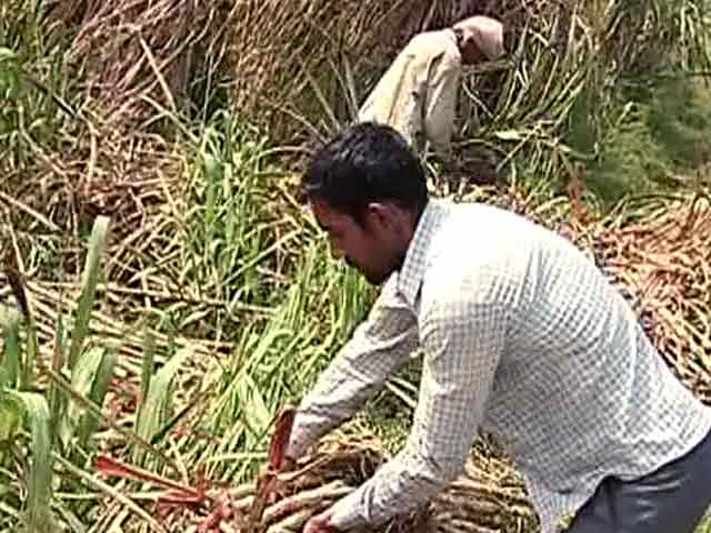 Videos : प्राइम टाइम इंट्रो : राहत को मोहताज बेमौसम बारिश से बर्बाद किसान
