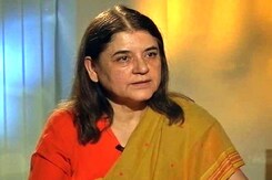 'Cow, Buffalo Slaughter Should be Banned': Minister Maneka Gandhi to NDTV 'Cow, Buffalo Slaughter Should be Banned': Minister Maneka Gandhi to NDTV