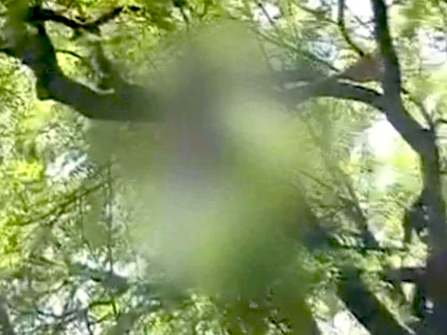 'आप' की रैली में किसान ने पेड़ से लटककर की खुदकुशी