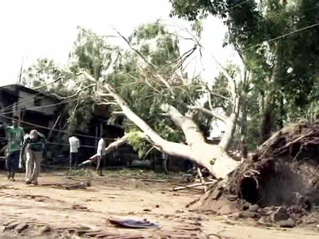Storm Claims Lives of 32 People in Bihar, Injures Over 80
