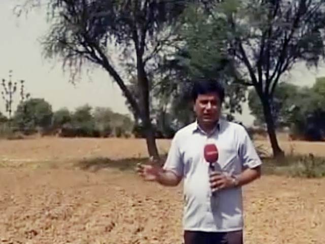 किसान गजेंद्र सिंह के खेत पर पहुंचा NDTV इंडिया