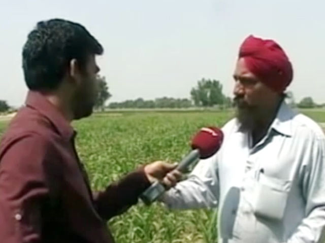 किसानों की चिंता, धान की फसल कैसे बचेगी?