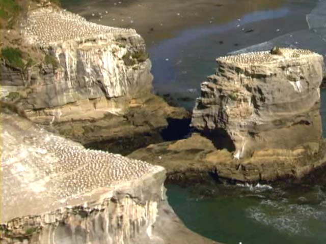 Dunedin, New Zealand: The Edinburgh of south