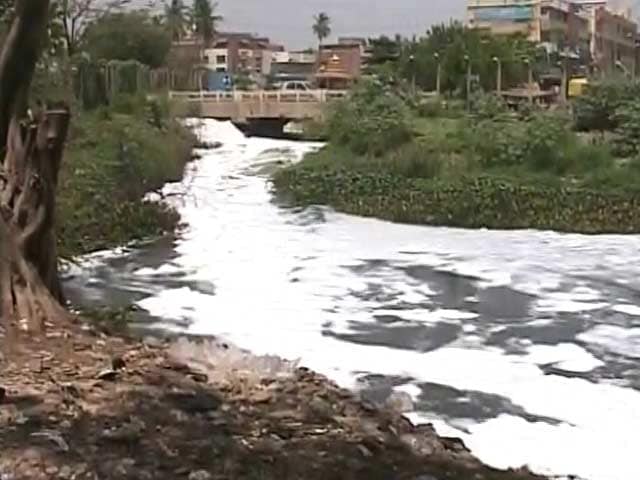 Video : Bengaluru's Foaming, Frothing Lake: Can it be Saved?