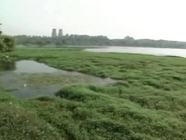 Video : As Bengaluru's Lakes Die, Karnataka Seems Without a Road-map to Save Them