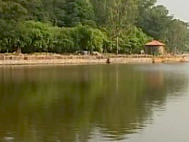 Video : Saving Bengaluru's Dying Lakes