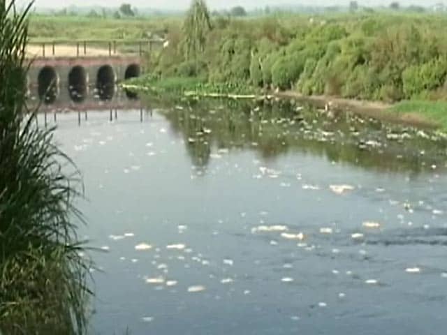 Videos : नदियों में बढ़ते प्रदूषण पर NGT ने केंद्र व राज्य सरकारों को भेजा नोटिस