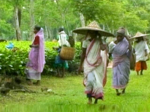 Video : Home Ministry Discusses Proposal to Accord Tribal Status to Six New Communities in Assam