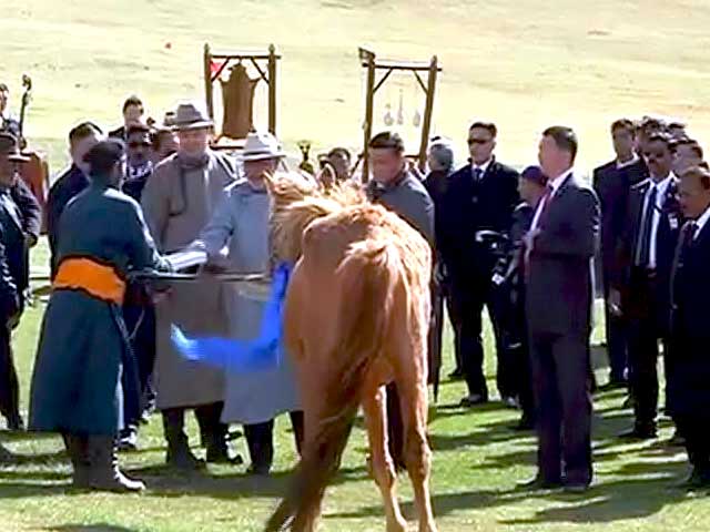 मंगोलिया के पीएम ने मोदी को गिफ्ट किया भूरे रंग का घोड़ा 'कंटक'
