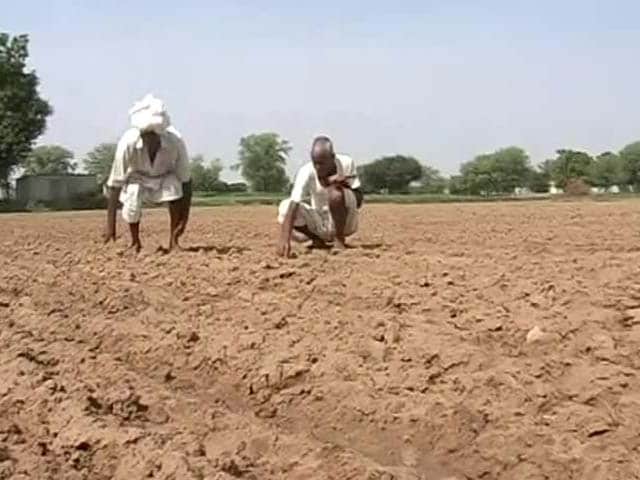 Video : Government Downgrades Monsoon Forecast, Stokes Fears of Drought