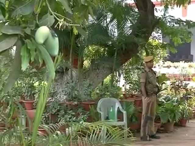 After Battle for Top Post, Its Nitish Kumar vs Jitan Manjhi on Mangoes and Litchis